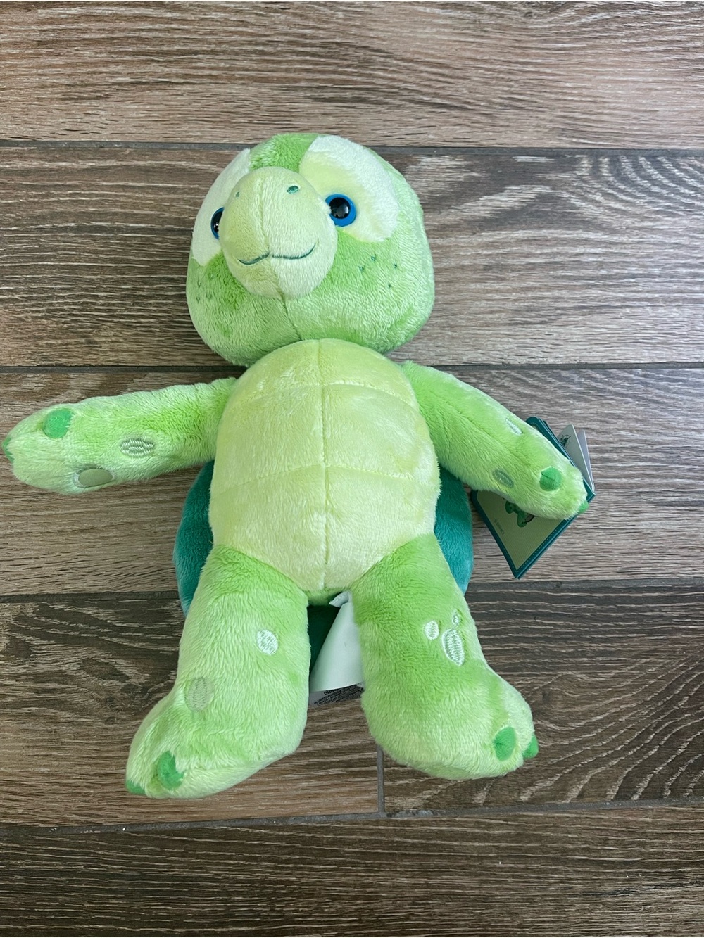 Disney Aulani Olu Plush